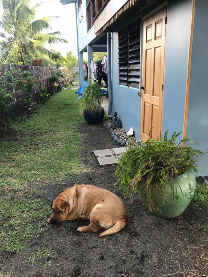 Pointe Venus Lodge Mahina Esterno foto